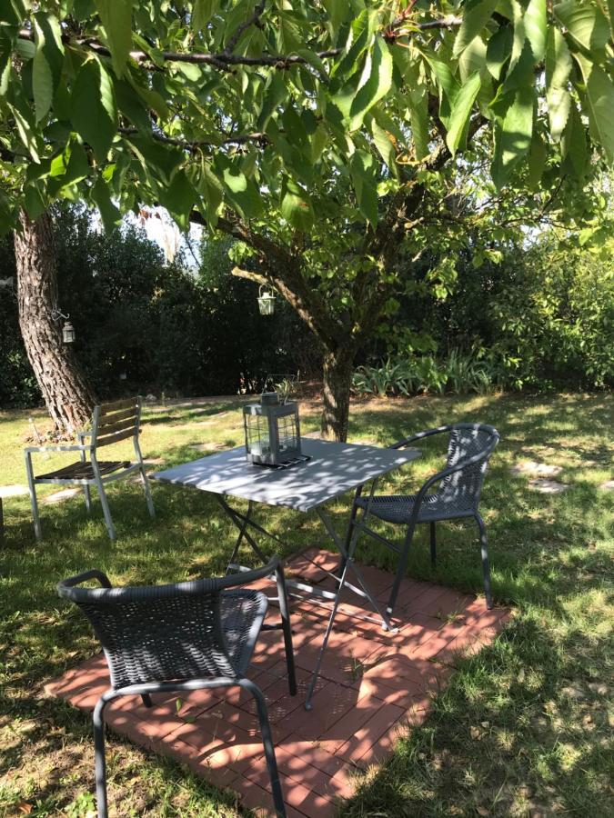 Bed and Breakfast Le Jardin De La Cite Carcassonne Zewnętrze zdjęcie